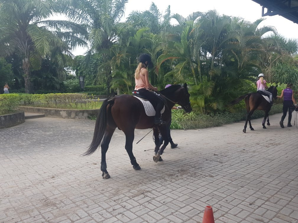 Bali Equestrian Centre景点图片