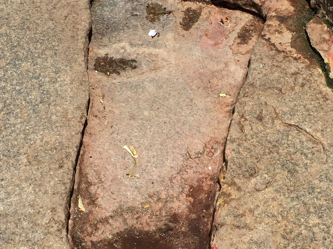 Lepakshi Jataayu景点图片
