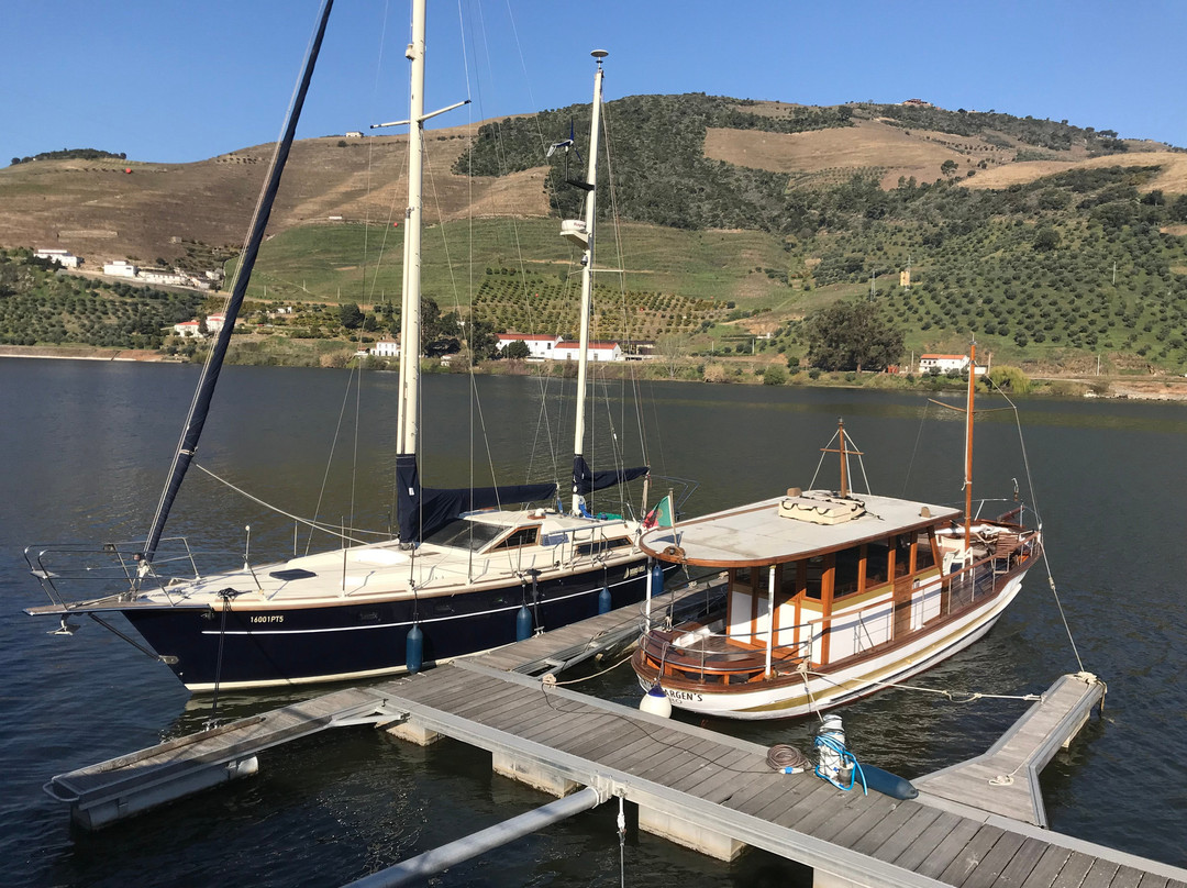 Hotel Folgosa Douro主图