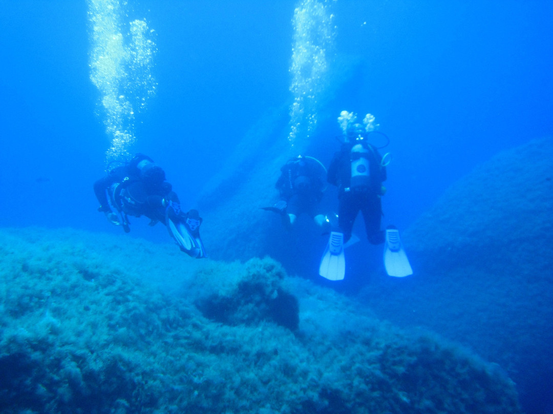 Gaulos Dive Cove景点图片