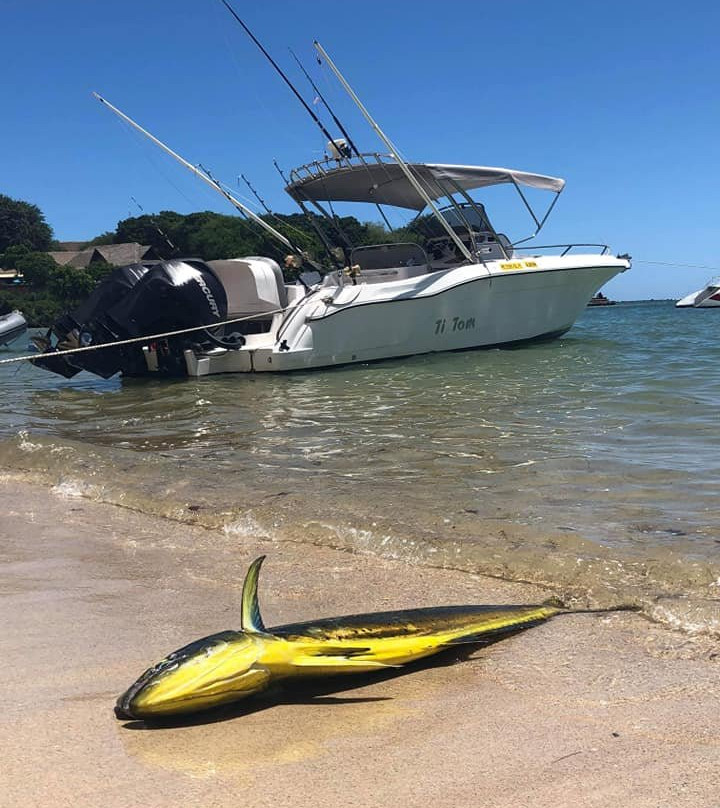 Mauritius Sea Discovery-阿尔比恩必去景点