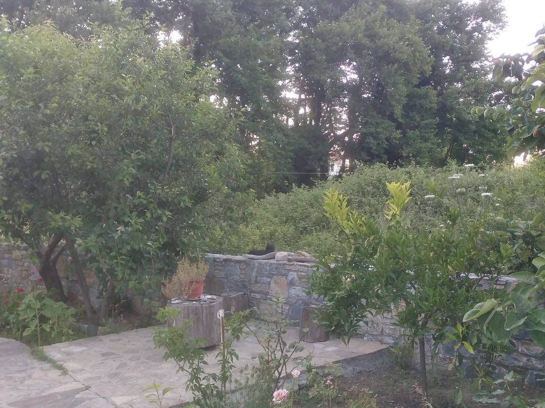 Alekos Rooms and Apartments主图