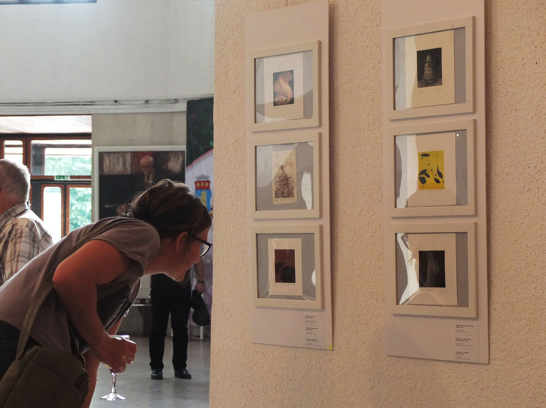 Art gallery - Kazanlak景点图片