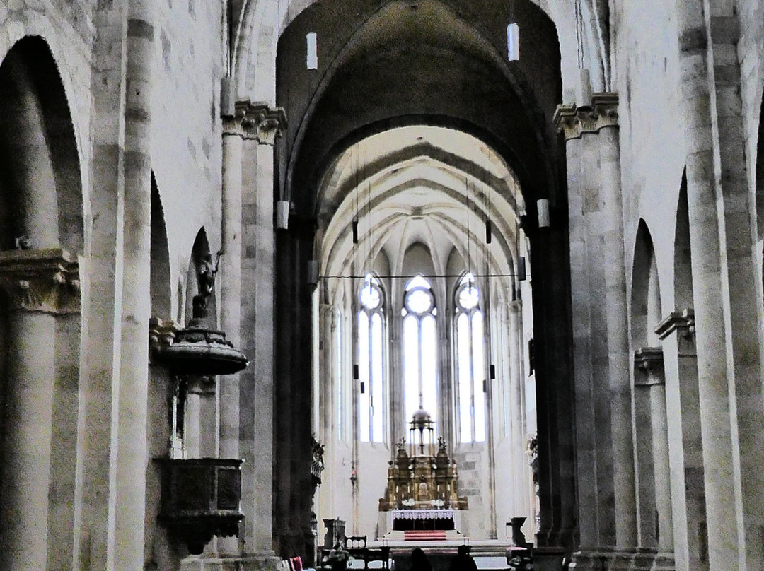 St Michael's Roman Catholic Cathedral景点图片