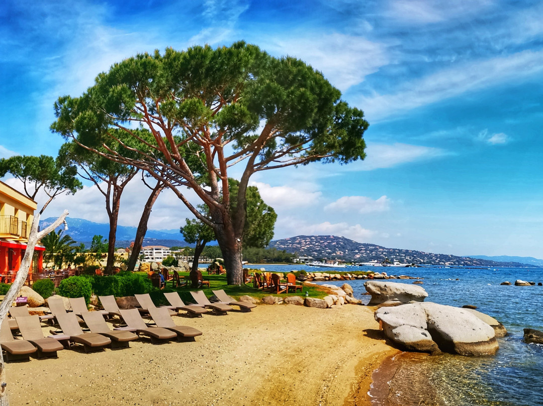 Casa Santini x Roc Seven主图