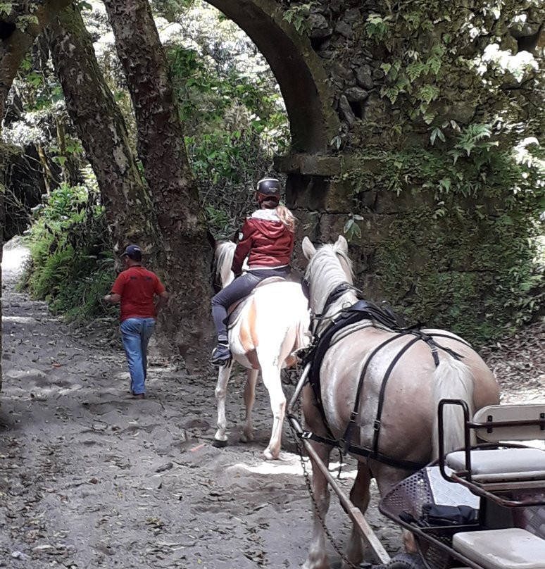 Quinta das Raiadas-蓬塔德尔加达必去景点