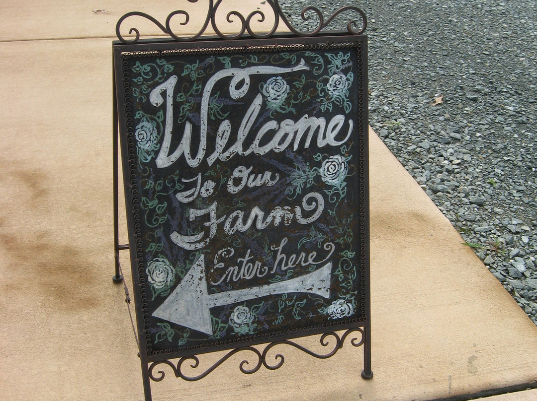 Lavender Oaks Farm-教堂山必去景点