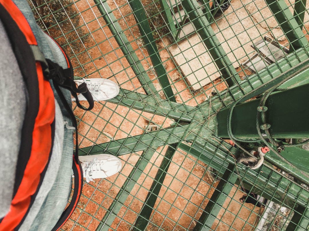 Tree Top Adventure-碧瑶必去景点