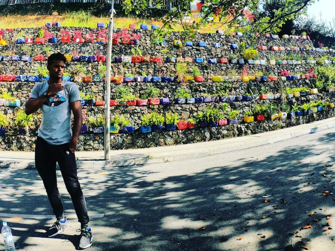 Insiders Foundation-麦德林必去景点