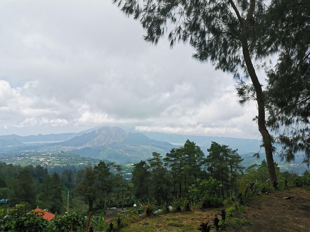 Penulisan Temple-金塔马尼必去景点