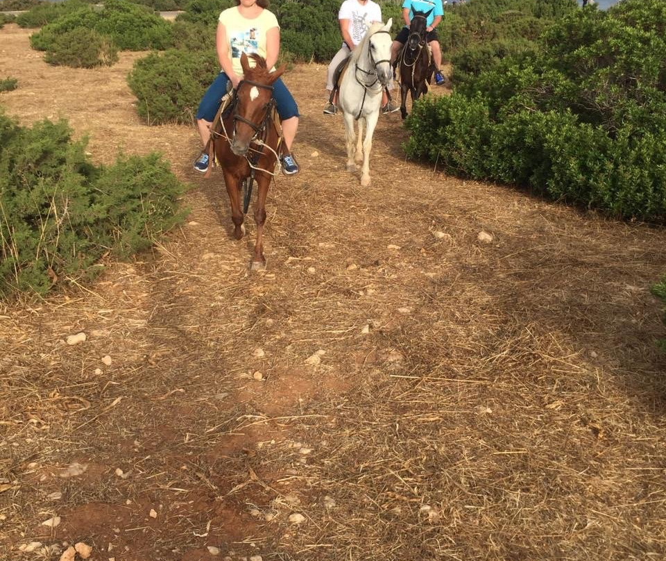 Moonshine Ranch-普它肋斯必去景点