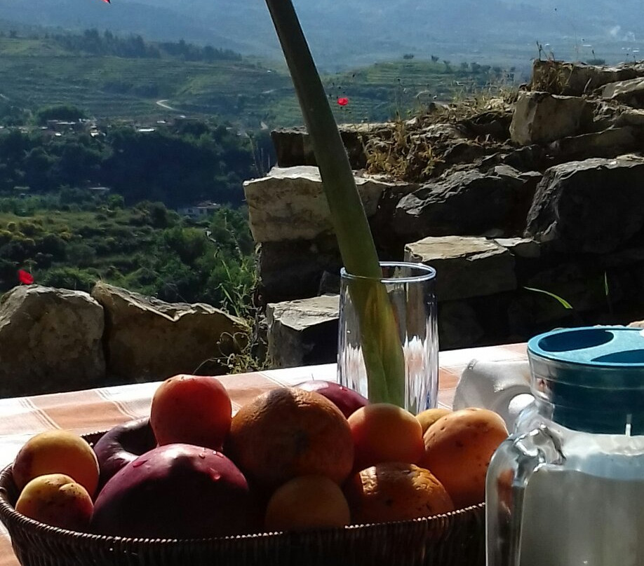 Guest House Iljesa主图