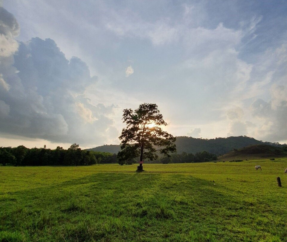 Phu Khao Ya景点图片