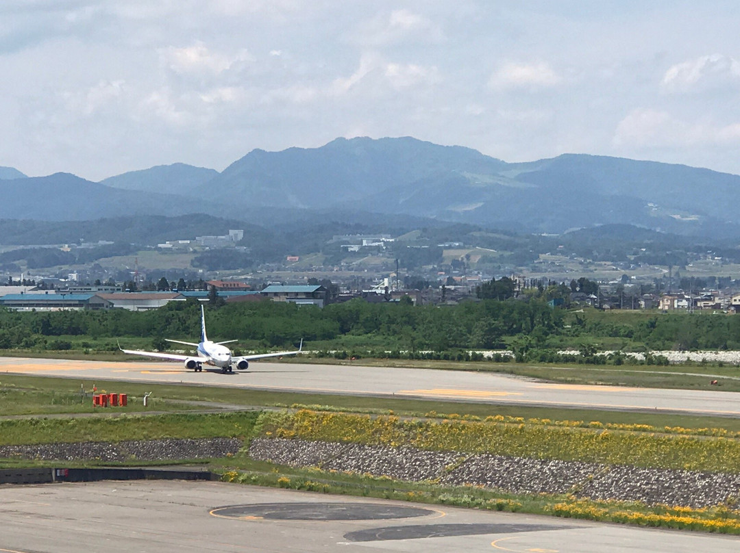Toyama Airport Lookout Deck景点图片