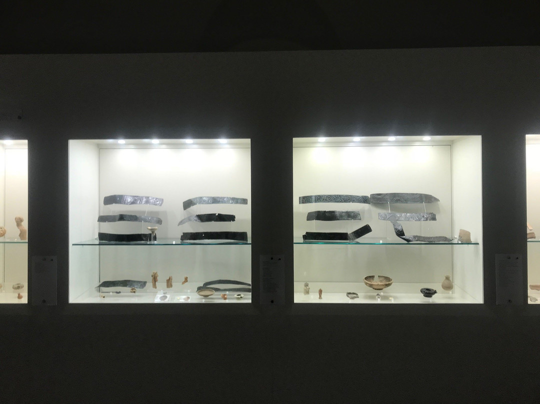 Museo Archeologico Palazzo Panitteri景点图片