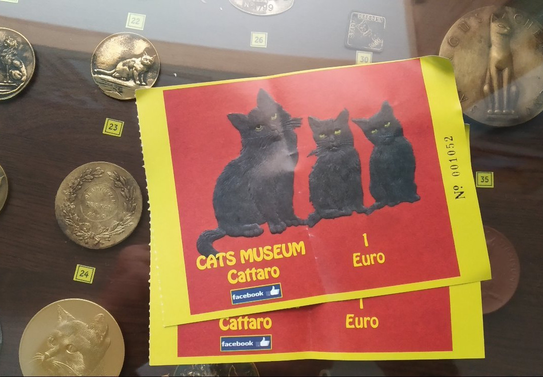 Cats Museum景点图片