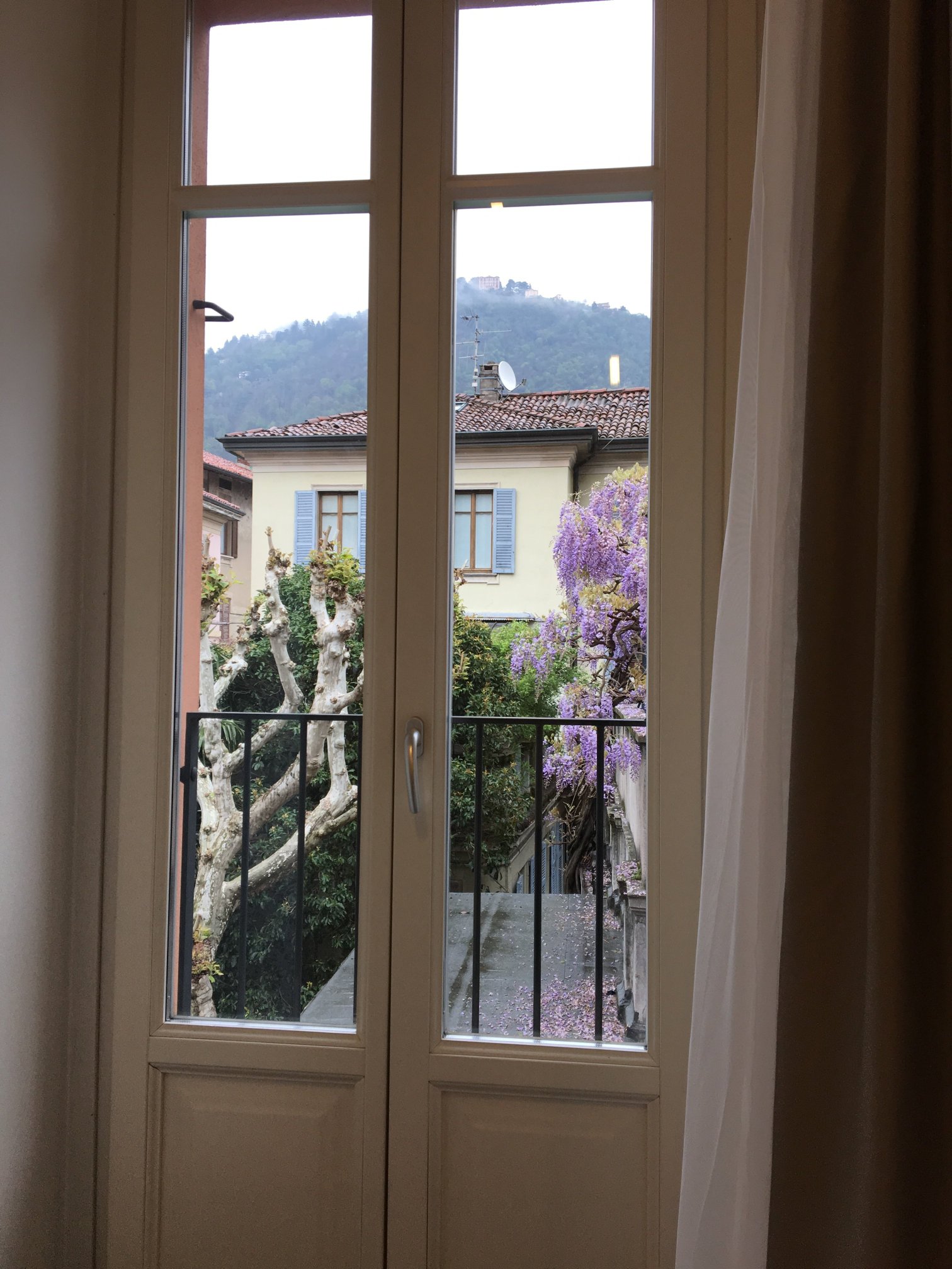 Avenue Hotel-酒店景观