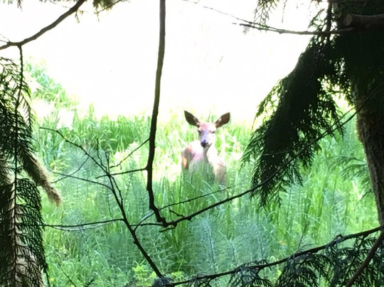 Guillemot Cove Nature Preserve-Seabeck必去景点