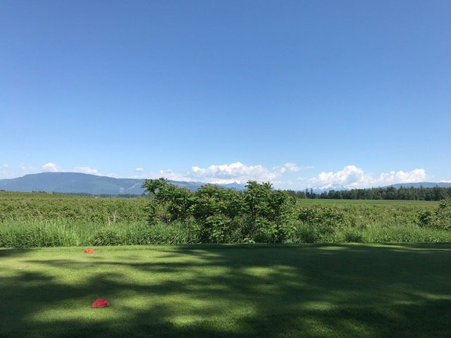 Raspberry Ridge Golf Course景点图片