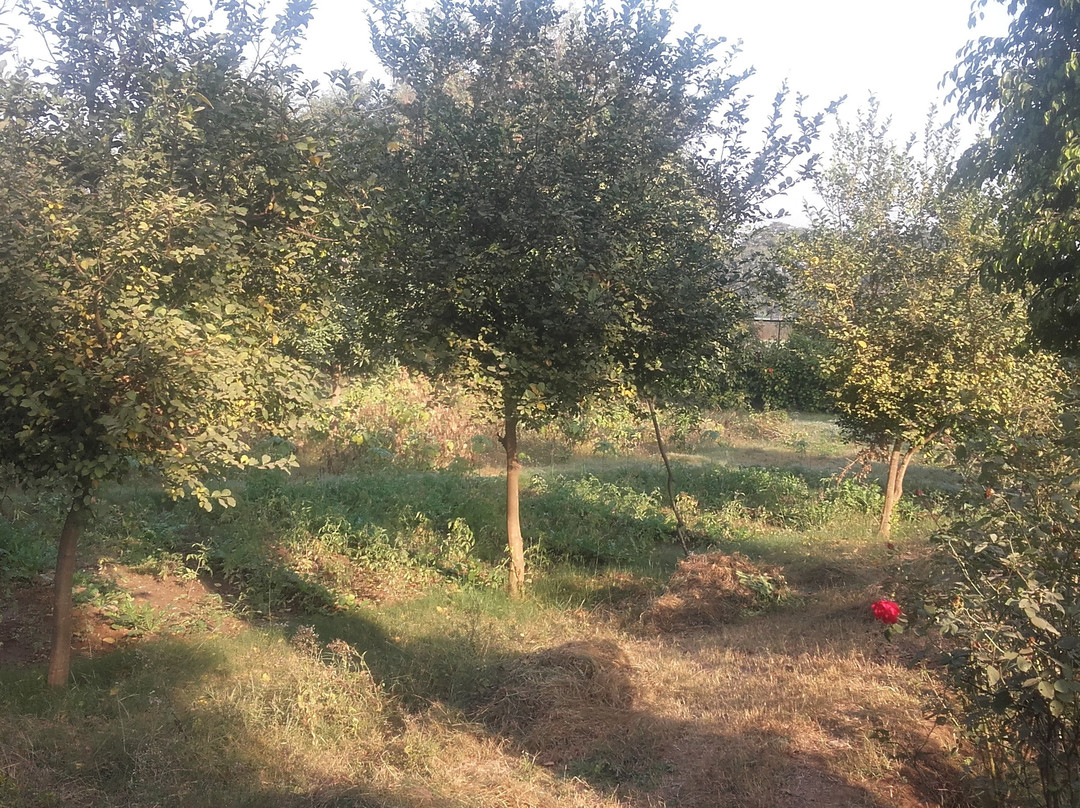 Greenwood Hotel主图