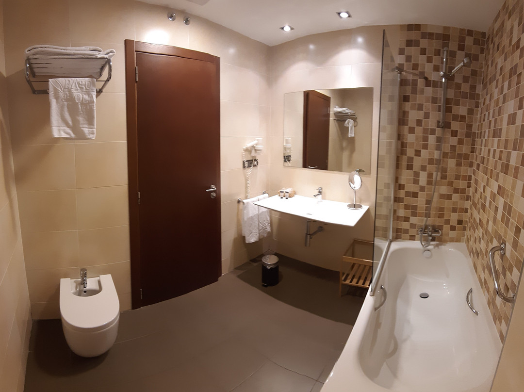 帕格奥利沃酒店主图