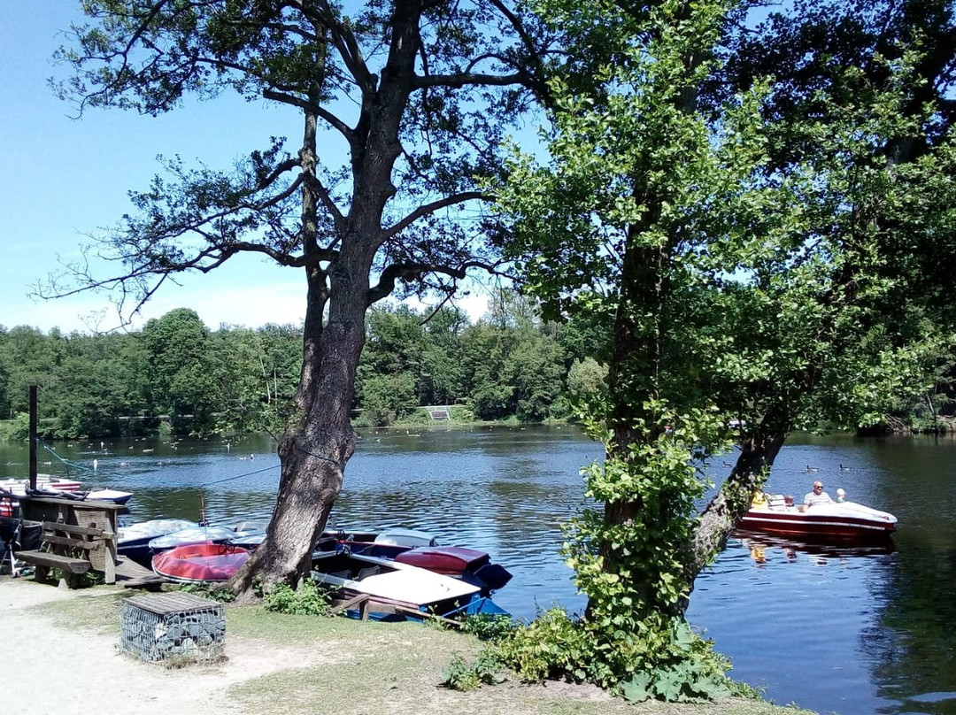 Freizeitpark Oberwaldhaus,Bootsverleih und Minigolf am Steinbrücker Teich景点图片