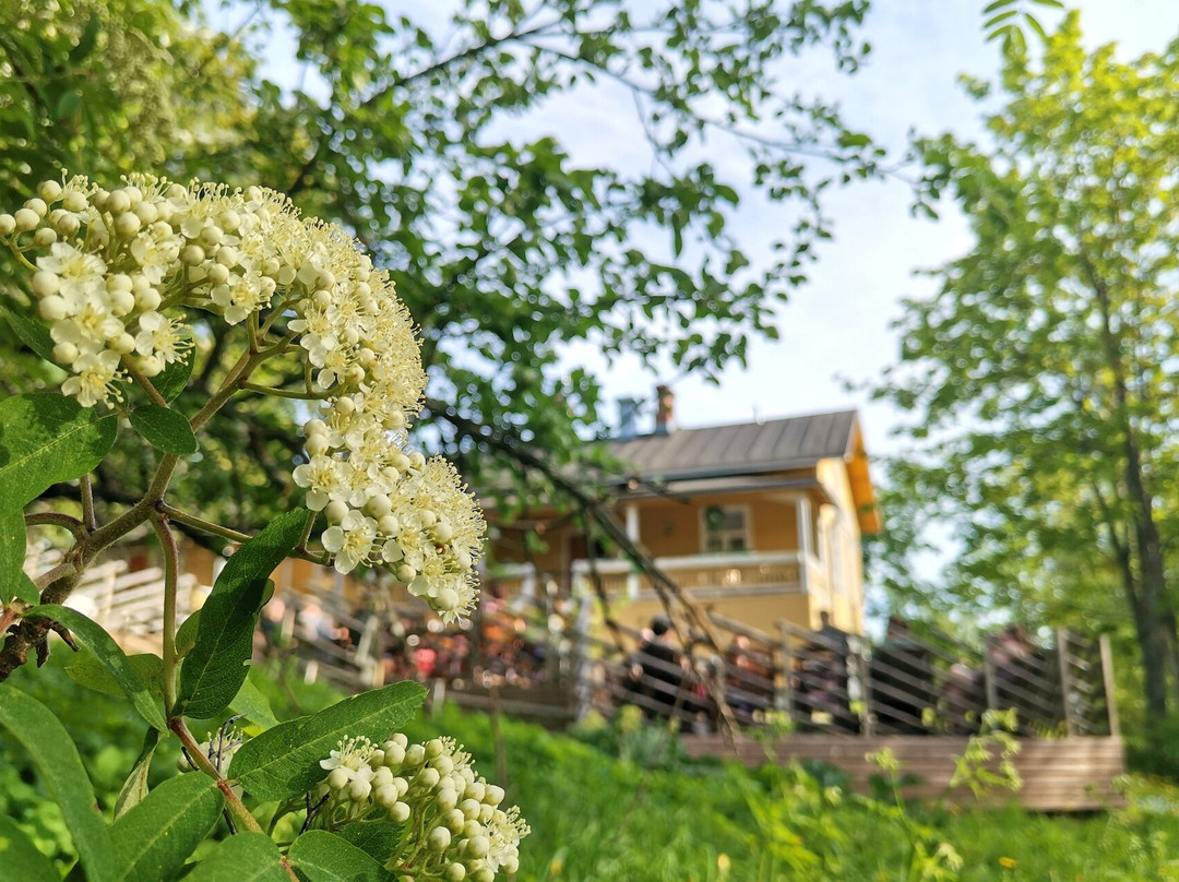Naissaaren Koskenhenki