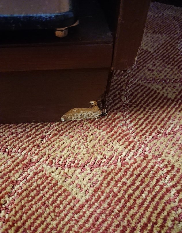 Best Western Lakewood Inn主图