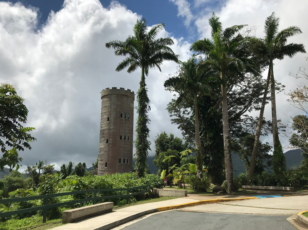 Pandora Tour Puerto Rico景点图片