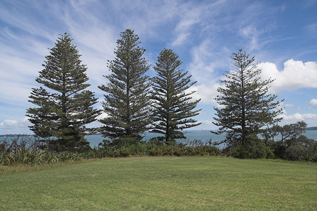 Motuihe Island-奥克兰必去景点