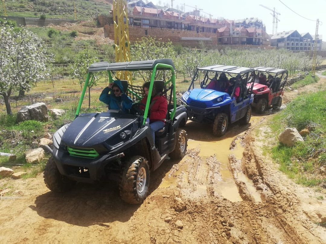 ProX Riding Club-Kfardebian必去景点