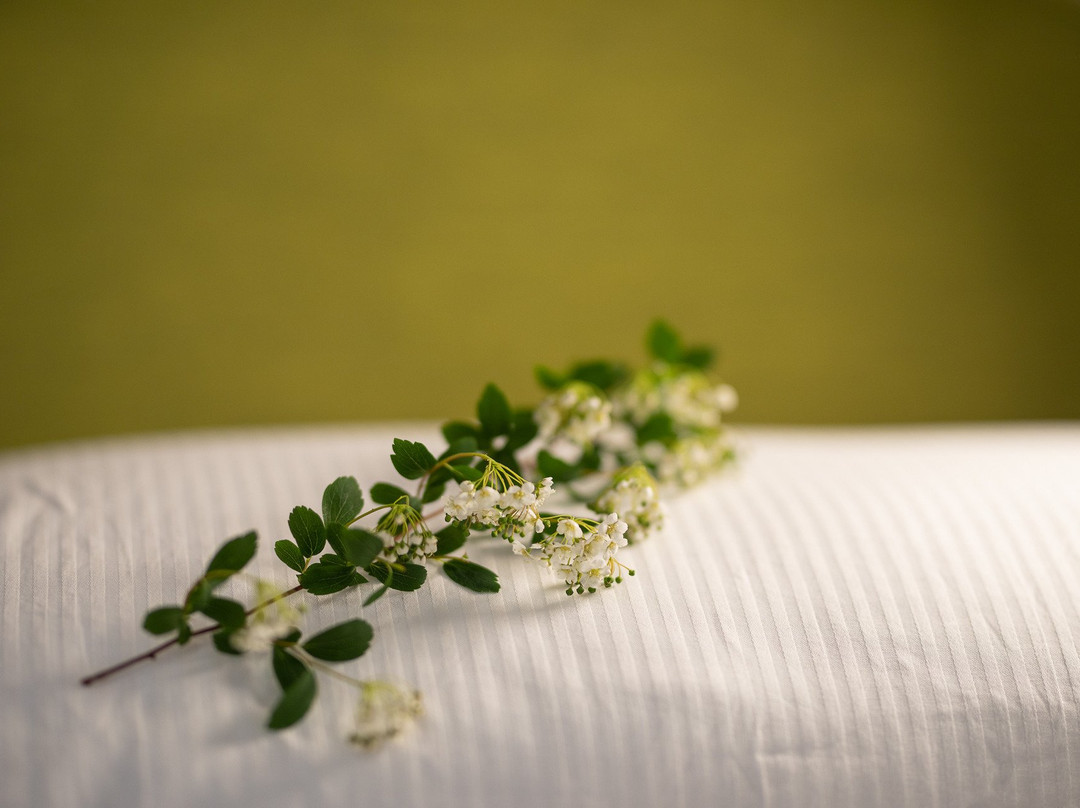 Alpedale Locanda主图