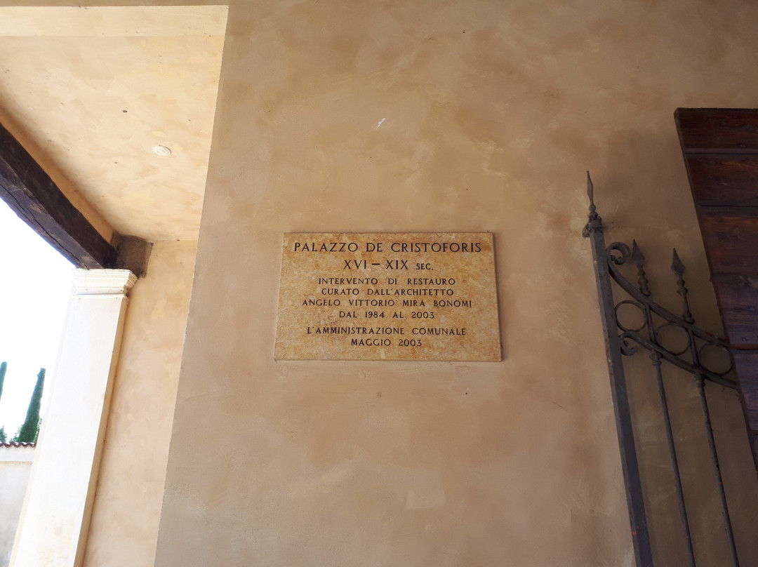 Palazzo de Cristoforis-Gray景点图片