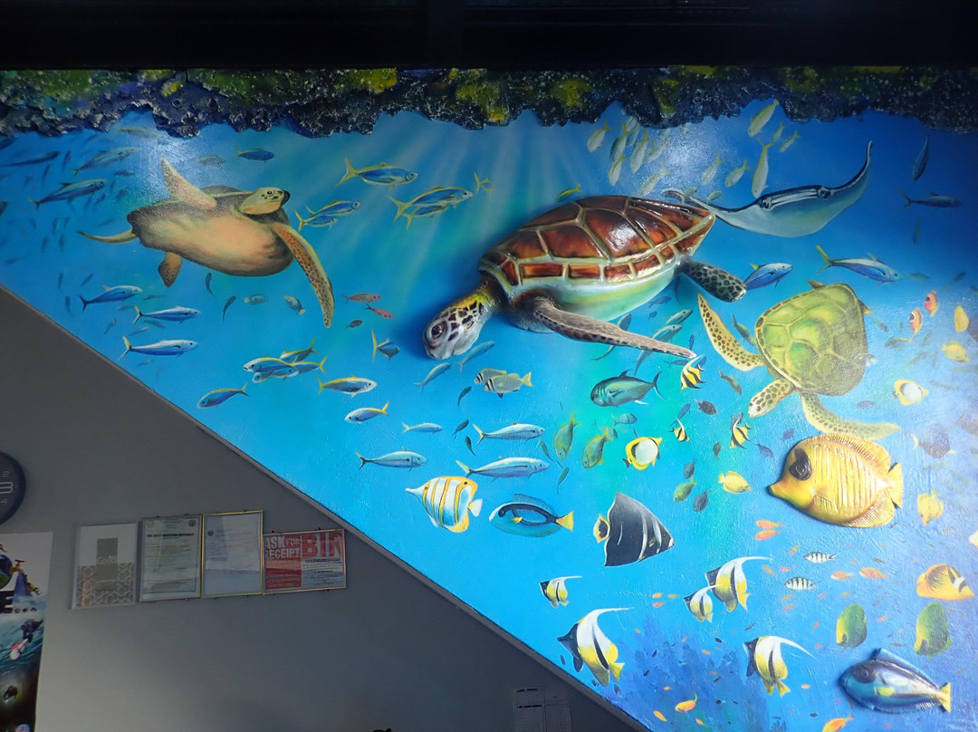 Amigos Dive Centre-莫阿尔博阿尔必去景点