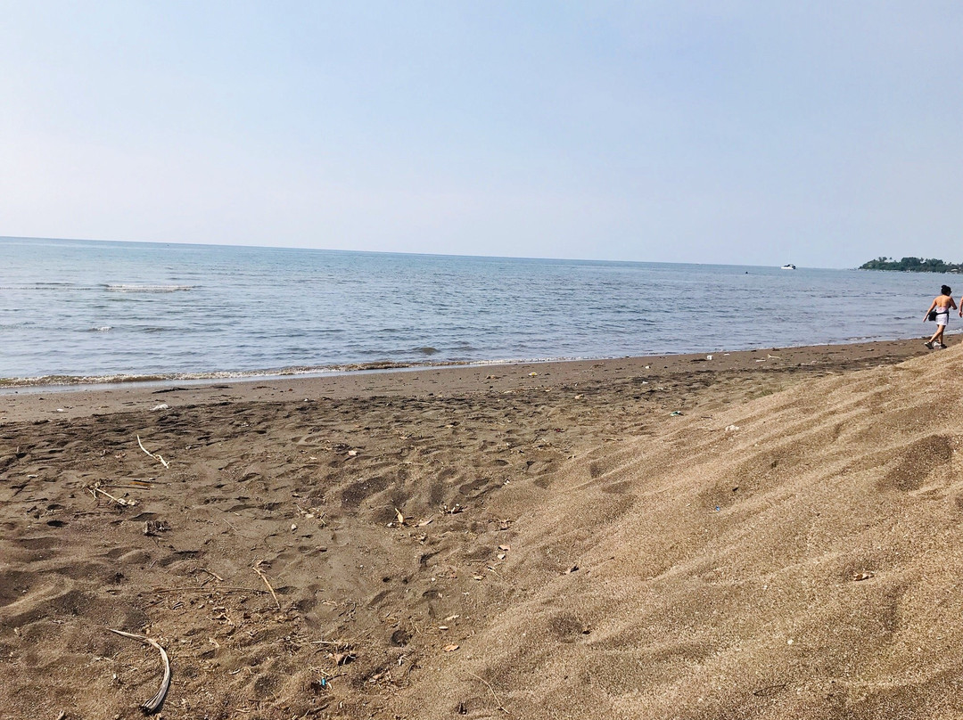 Aditya Beach Resorts and Spa Lovina主图