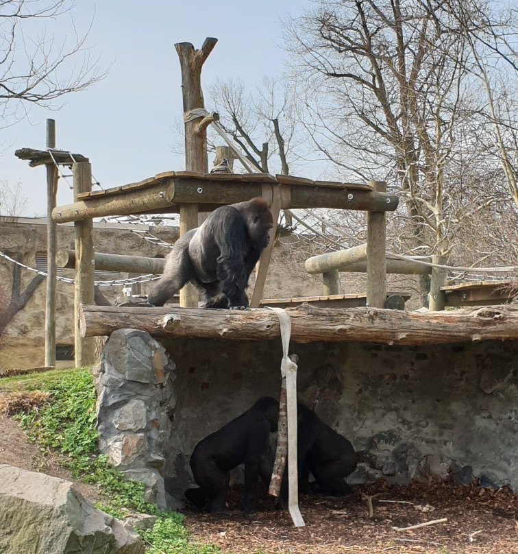 Zoo Opole-Opole必去景点