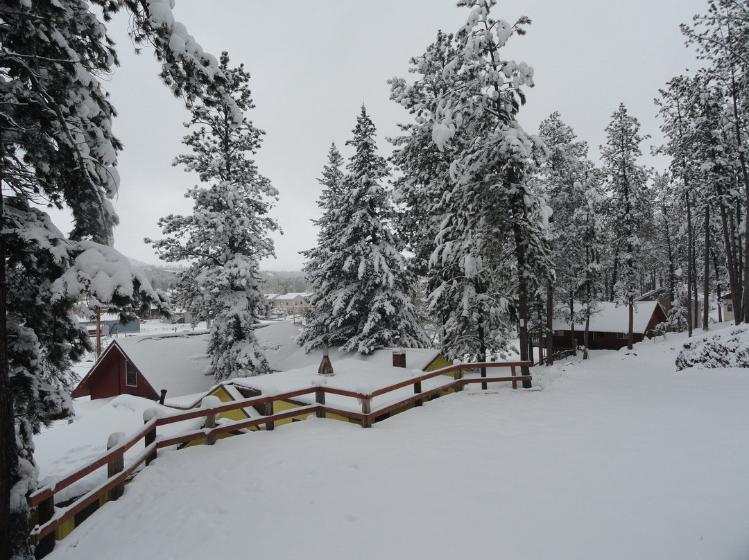 Shady Rest Motel主图