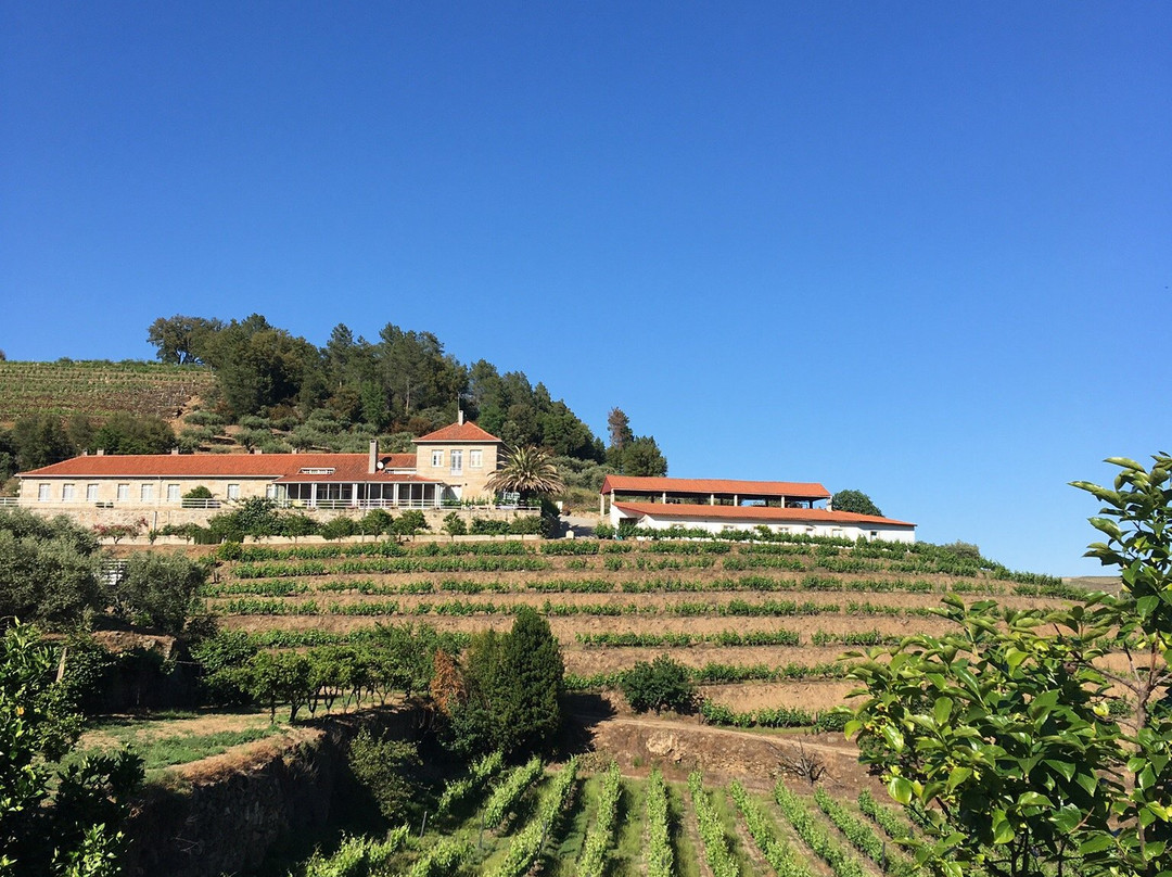 Quinta do Reconco主图