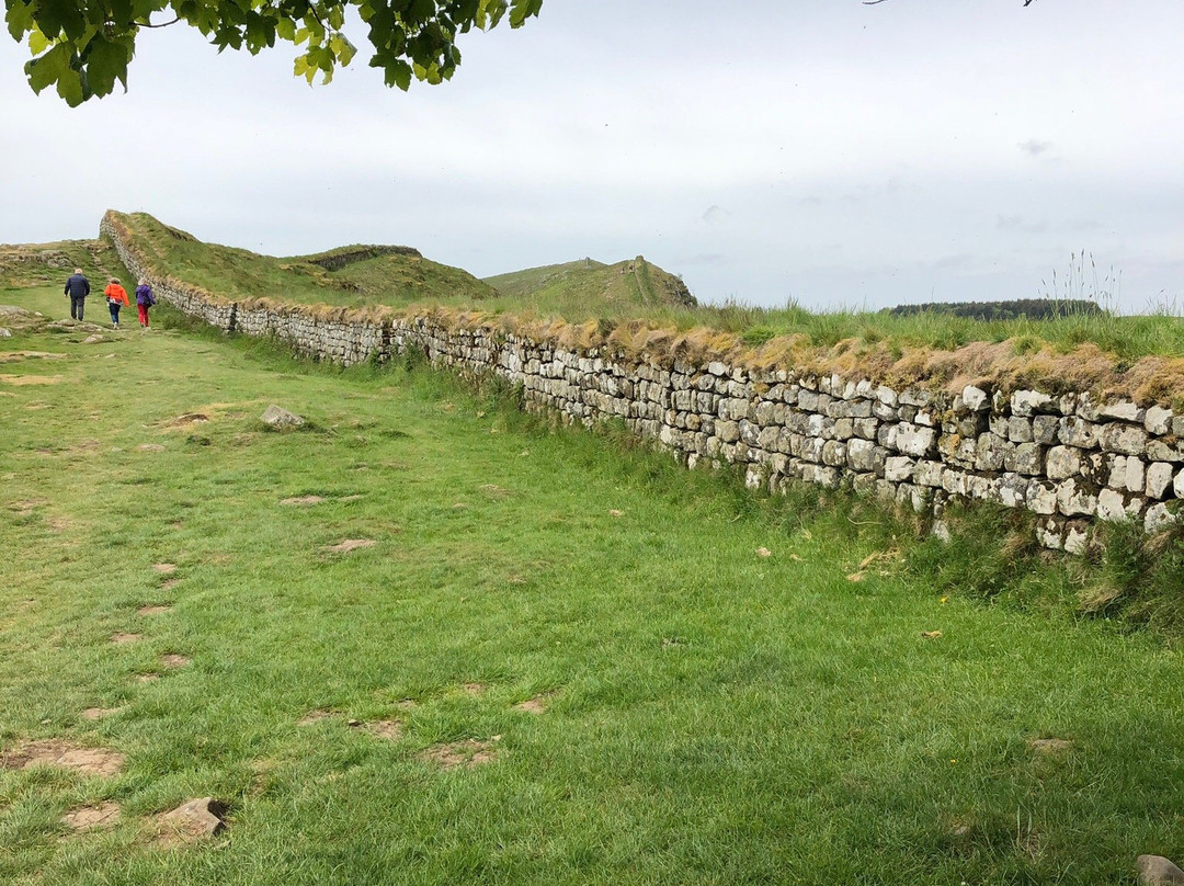 Housesteads Roman Fort - Hadrian's Wall景点图片