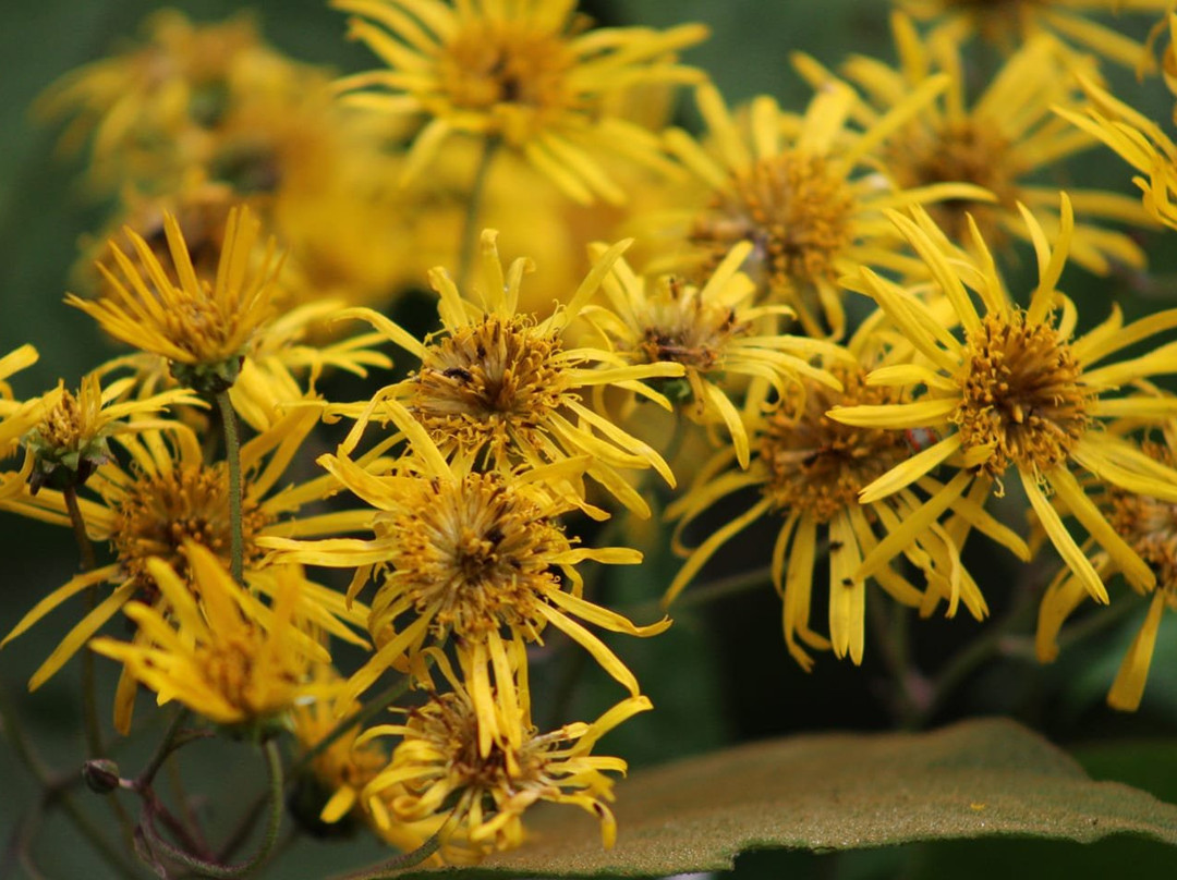 Cochapata Lodge主图