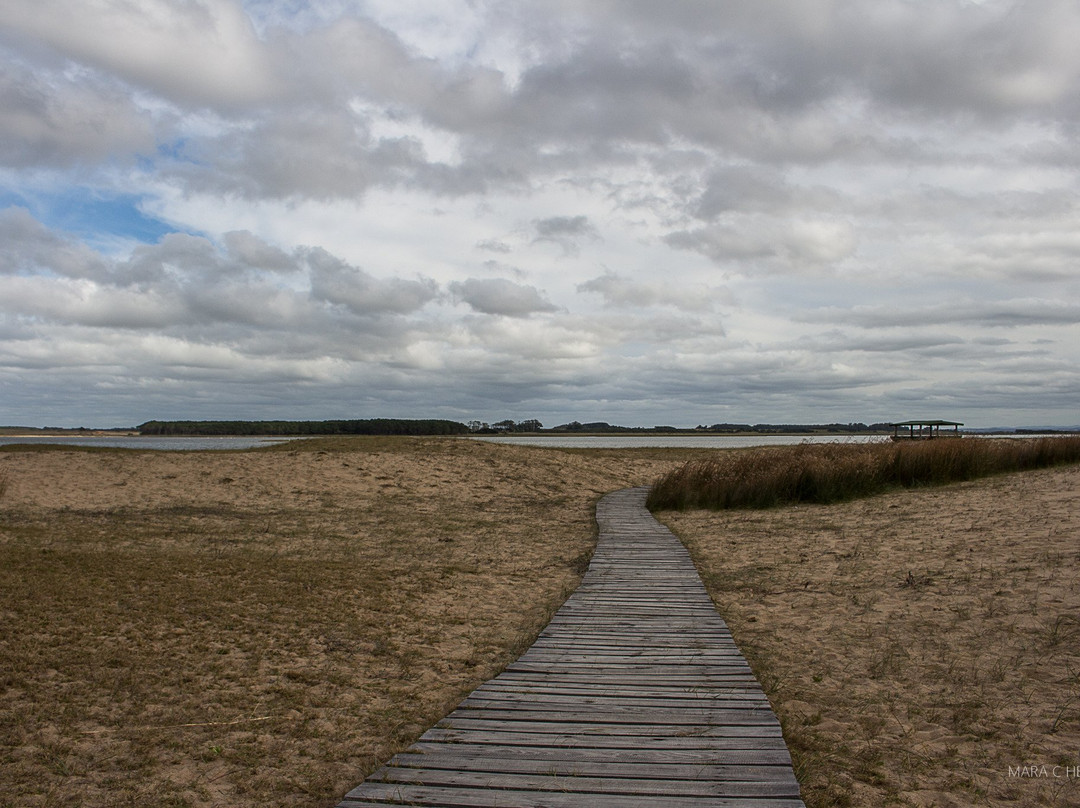 La Pedrera旅游景点-Sendero Barra de la Laguna