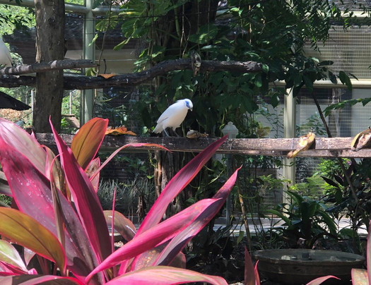 null-西巴厘岛国家公园