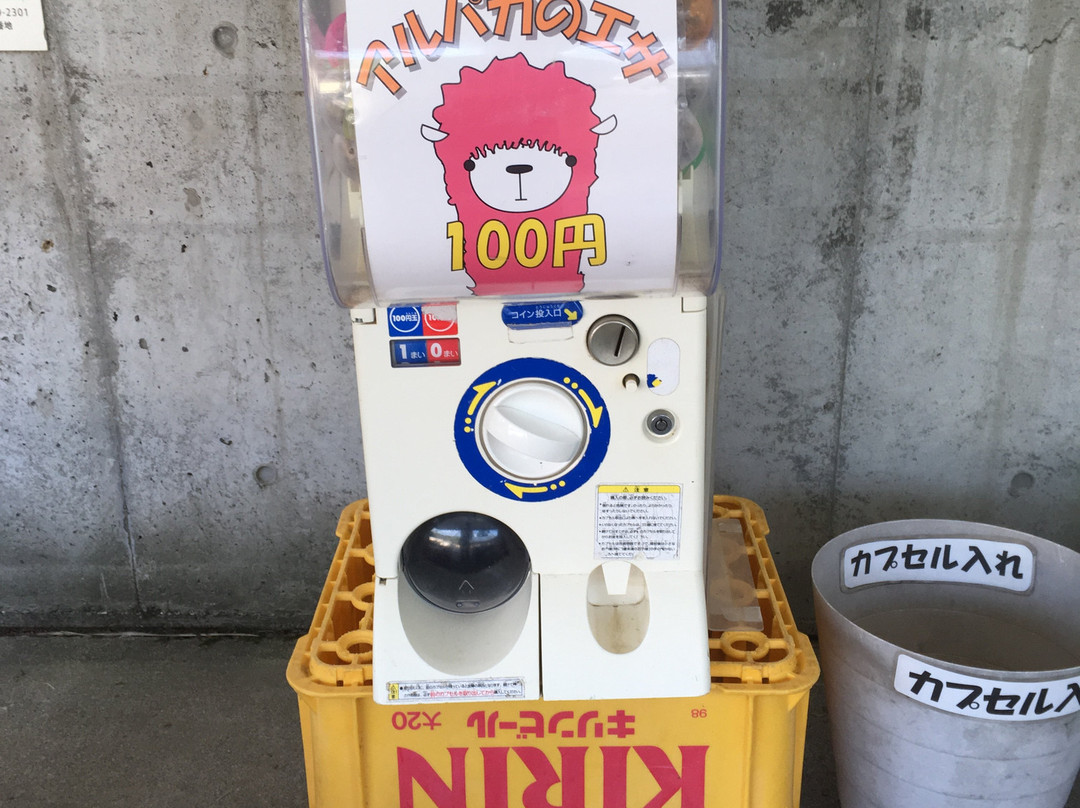 Yamakoshi Alpaca Farm-长冈市必去景点