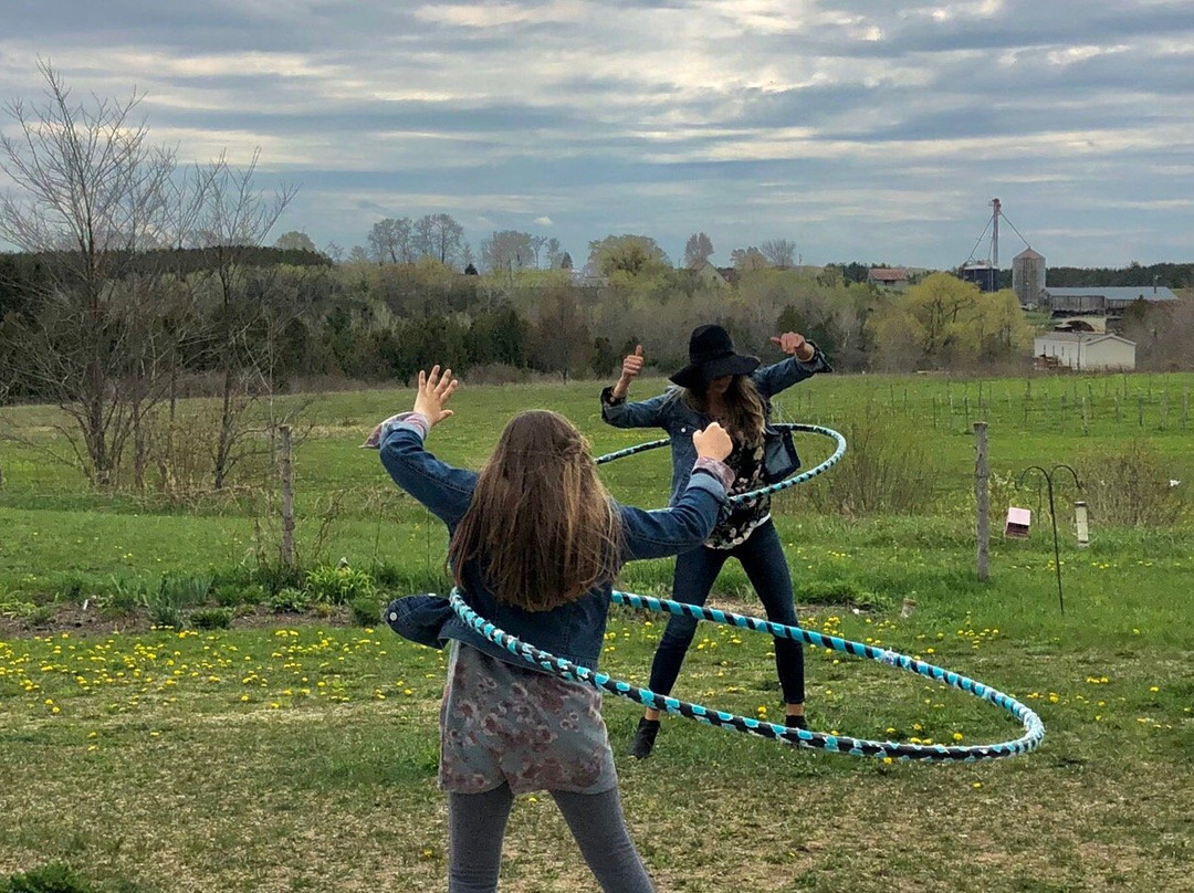 Walloon Lake Winery-皮托斯基必去景点