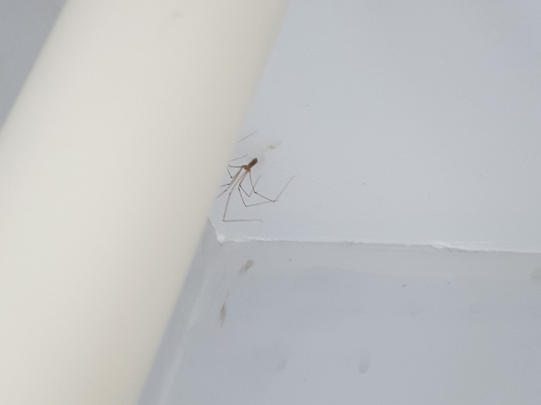 Castaways B&B and Guest House主图