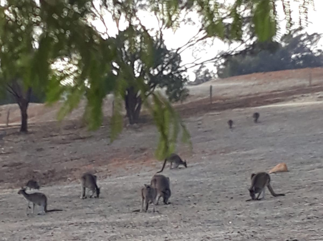 Darling Range Homestay主图