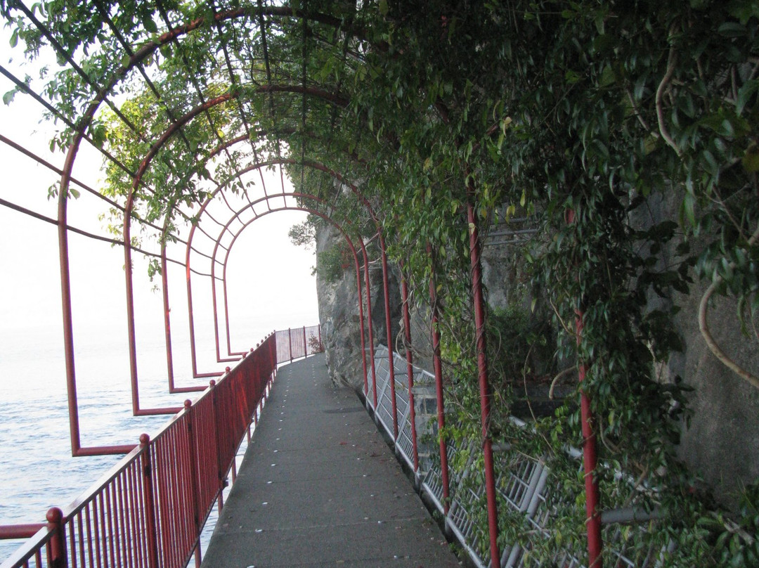 Green Way dei Patriarchi-瓦伦纳必去景点