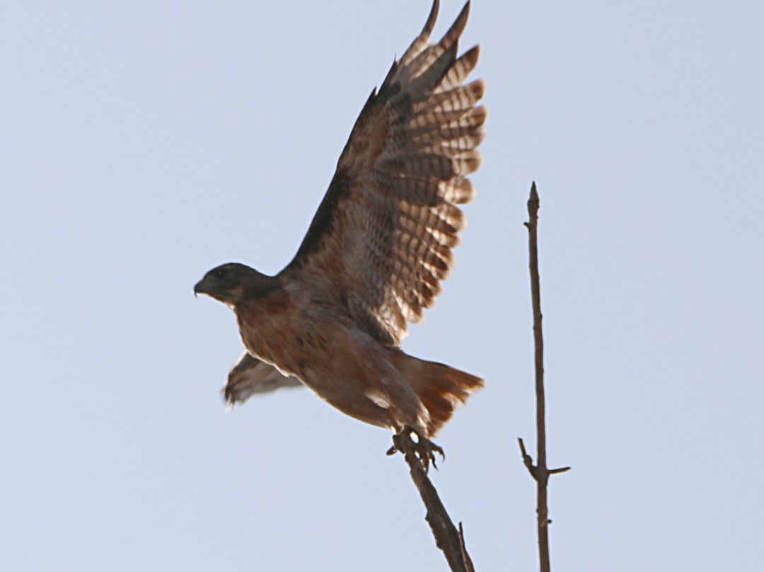 圣路易斯国家野生动物保护区-洛斯巴诺斯必去景点