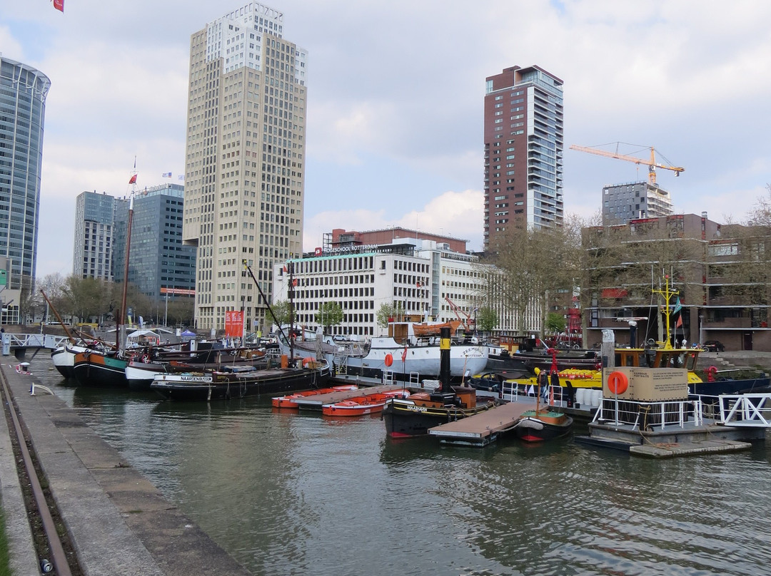 Maritime Museum Rotterdam景点图片