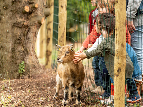 Feijão Verde Natura Fun Park-Alfragide必去景点